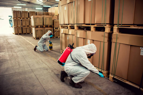 Best Best Pest Control Companies  in Belcourt, ND