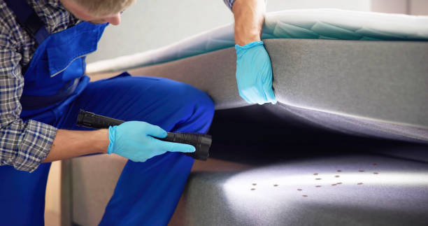 Best Exterminator Services  in Belcourt, ND