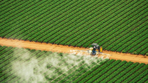 Best Pest Prevention Services  in Belcourt, ND