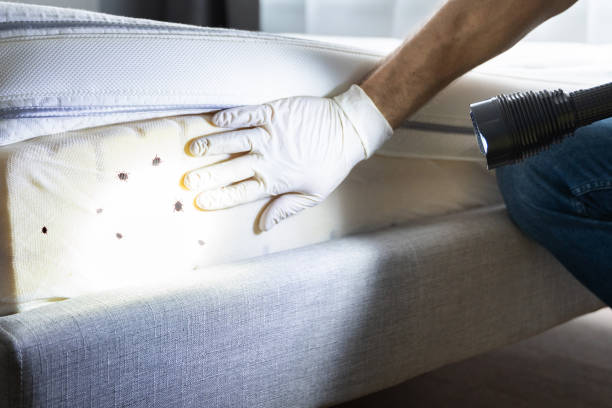 Best Wildlife Control Services  in Belcourt, ND