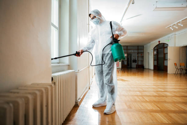 Best Pest Prevention Services  in Belcourt, ND