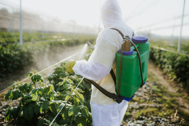 Best Wildlife Control Services  in Belcourt, ND